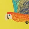 Banana/Macaw
