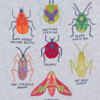 Grey Marl/Bugs