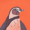 Salamander/Penguin