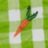 Macaw Gingham/Carrots