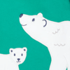 Magic Skies/Polar Bear