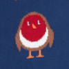 Navy/Rainbow Robins