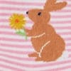 Rabbit Multipack