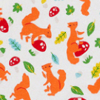 Squirrel Friends