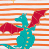 Salamander Stripe/Dragon