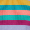 Wild Rainbow Stripe