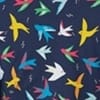 Rainbow Birds