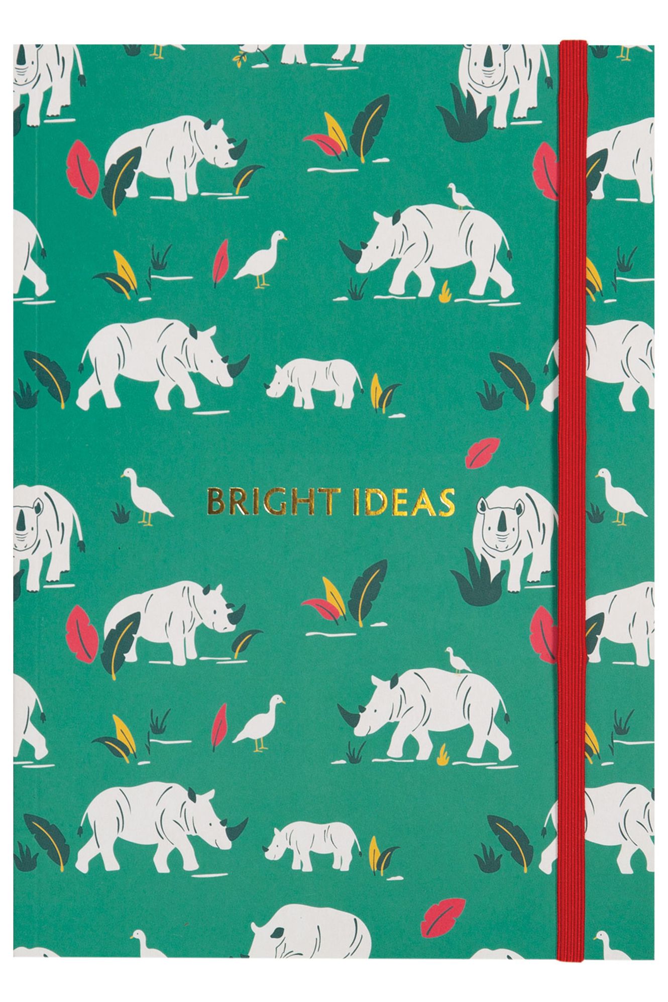 Bright Ideas Notebook