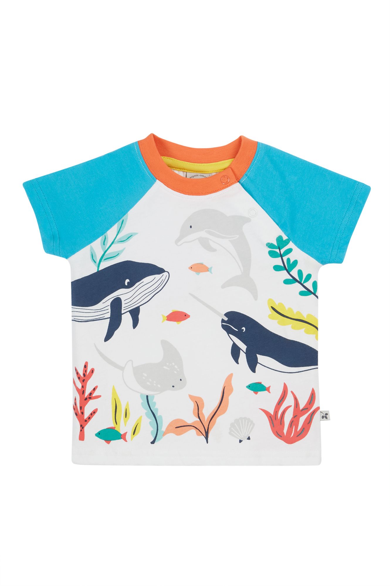 Reid Raglan T-shirt