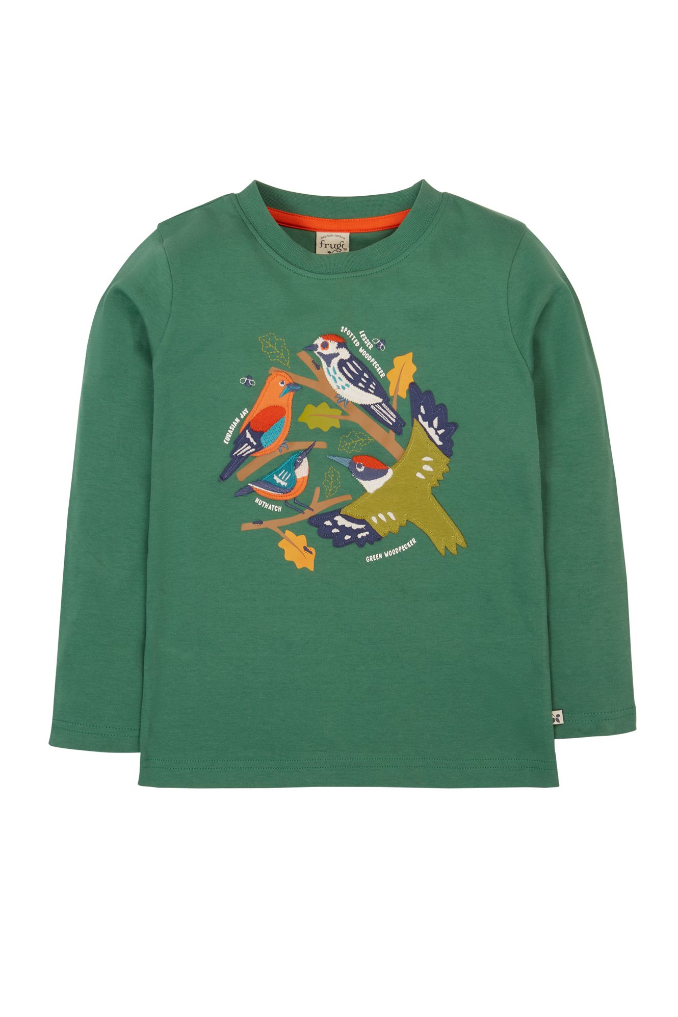 Terrific Applique Top