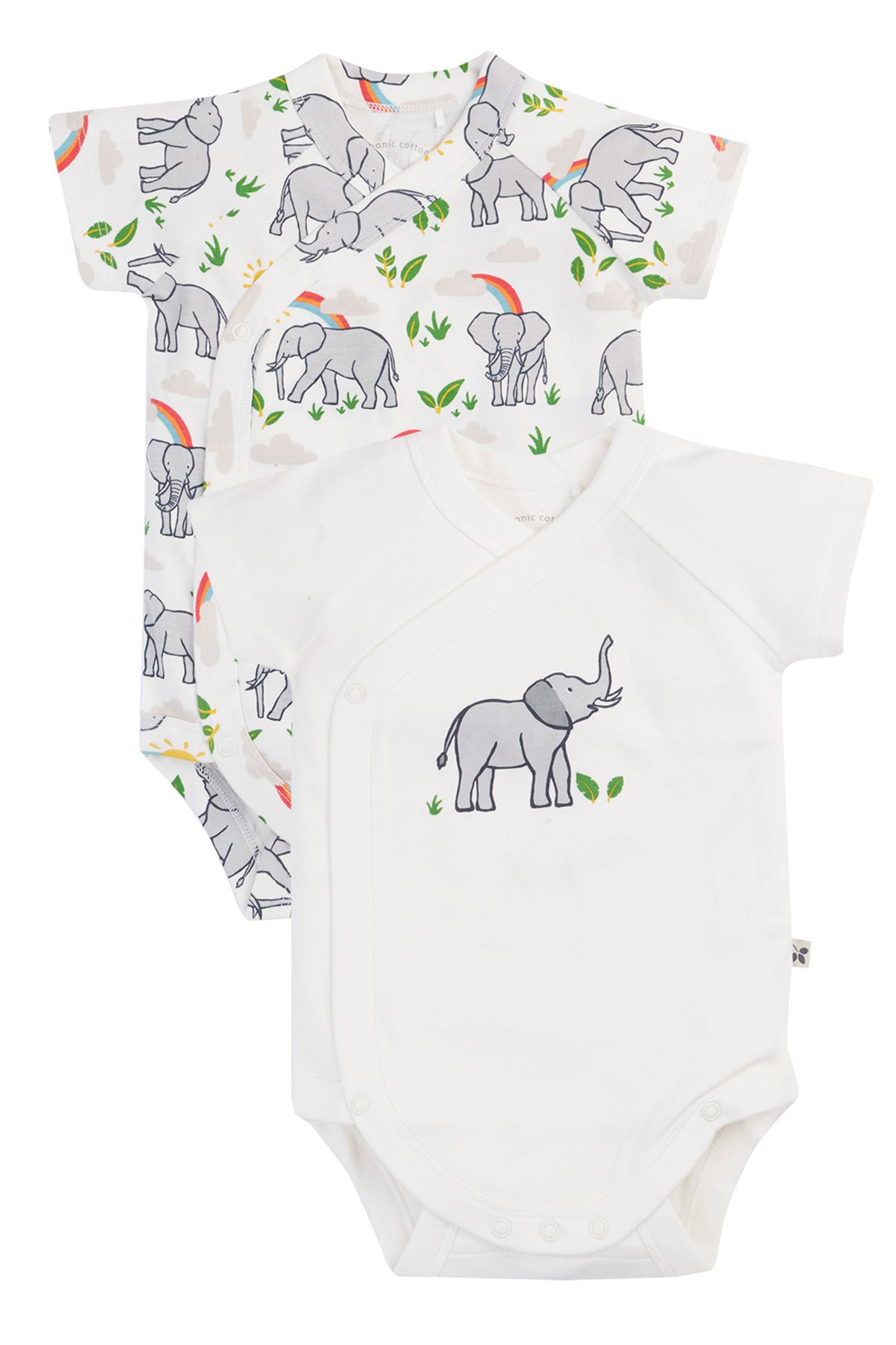 Shay Summer 2 Pack Body